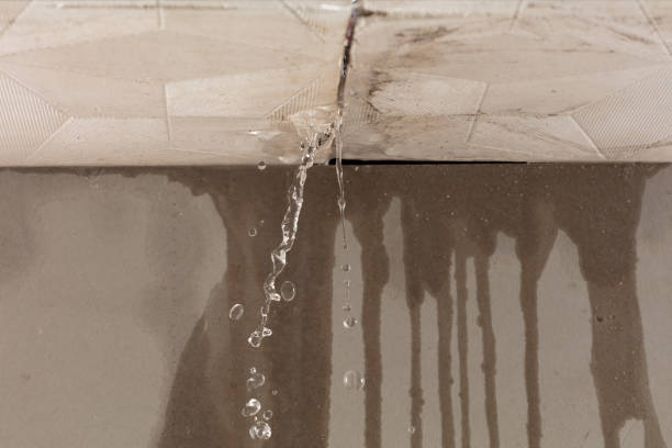 Professional Structural Drying technician working in Sardis, OH